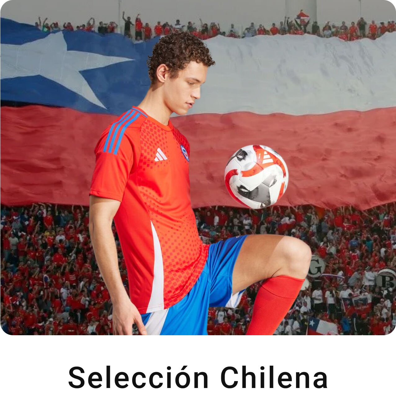 Imagen sin un nombre